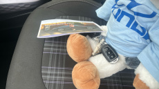 Hyundai i10 1.0 [63] Premium 5dr Auto [Nav] Petrol Hatchback